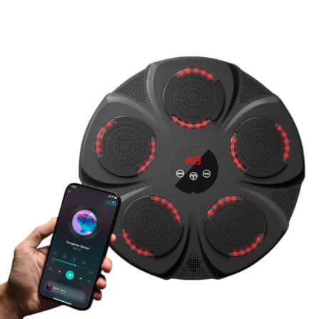 เป้าต่อยมวย ติดผนัง THAI SUN SPORT รุ่น C-BOXS-003_2